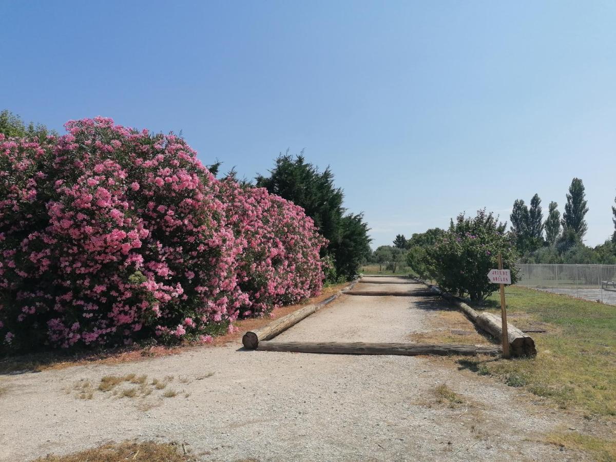 Les Gites Du Mas Canillac Châteaurenard Esterno foto