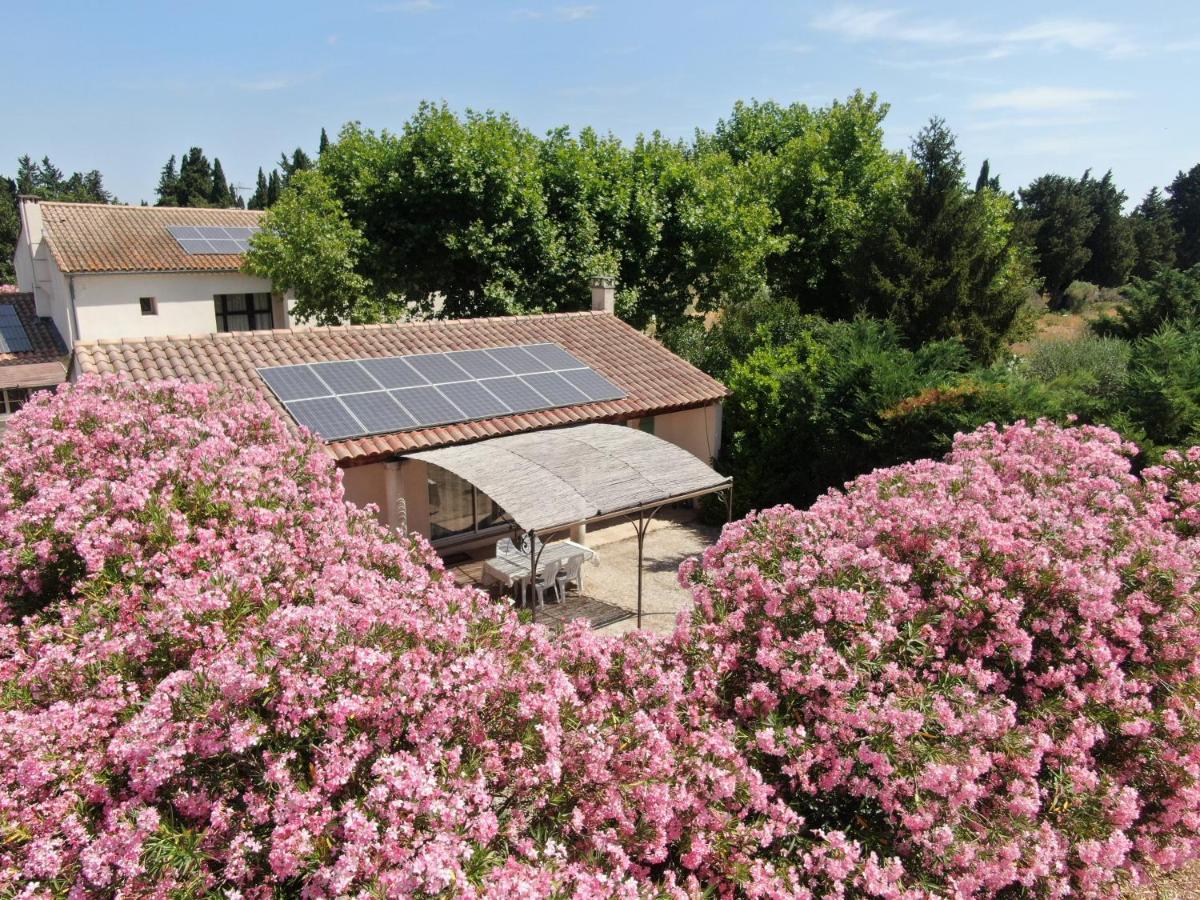 Les Gites Du Mas Canillac Châteaurenard Esterno foto